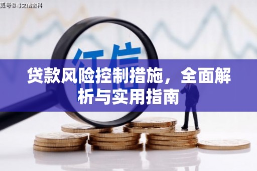 偏关贷款风险控制措施，全面解析与实用指南