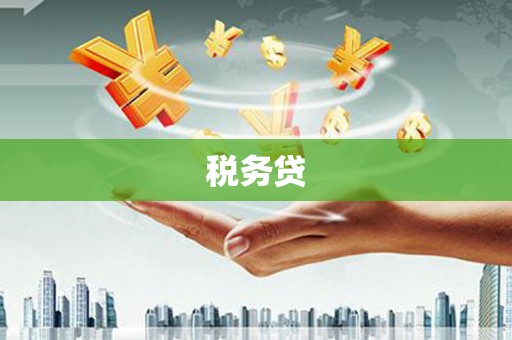 偏关税务贷