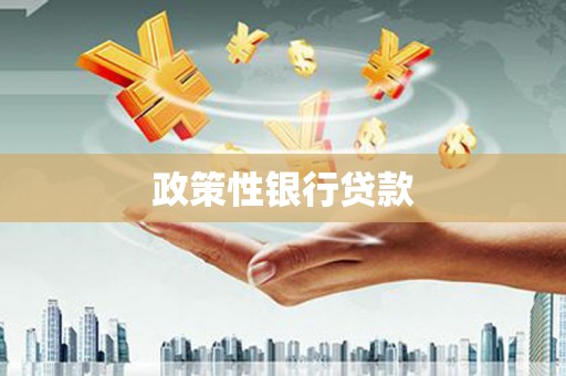 偏关政策性银行贷款