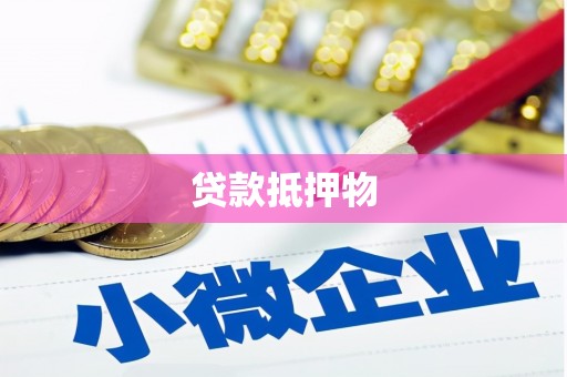 偏关贷款抵押物