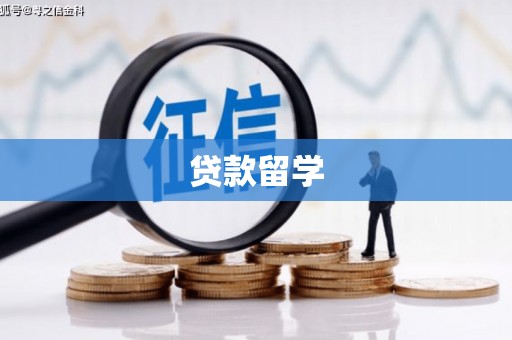 偏关贷款留学