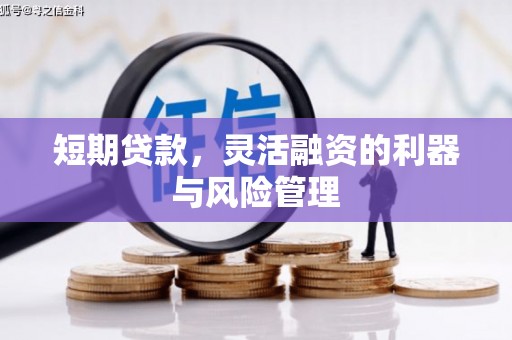偏关短期贷款，灵活融资的利器与风险管理