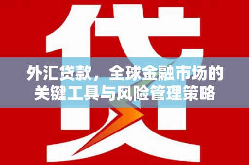 偏关外汇贷款，全球金融市场的关键工具与风险管理策略