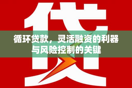 偏关循环贷款，灵活融资的利器与风险控制的关键