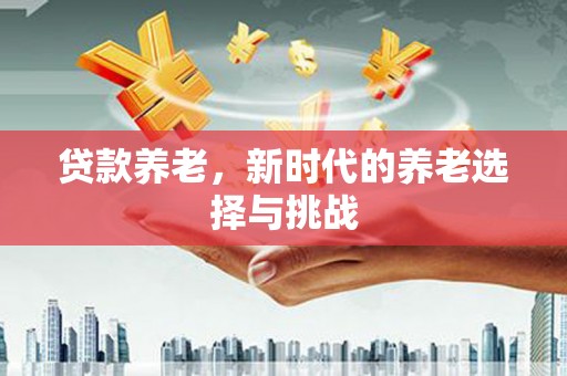 偏关贷款养老，新时代的养老选择与挑战