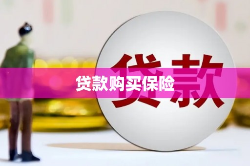 偏关贷款购买保险