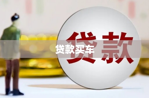 偏关贷款买车