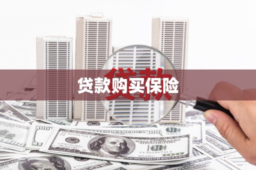 偏关贷款购买保险
