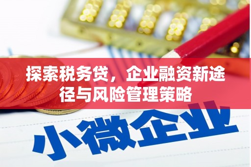 偏关探索税务贷，企业融资新途径与风险管理策略