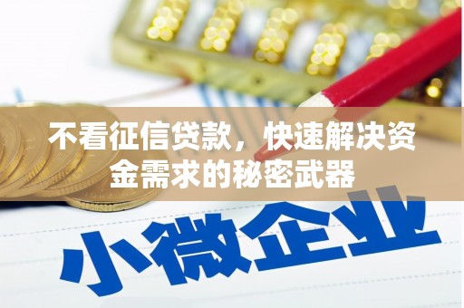 偏关不看征信贷款，快速解决资金需求的秘密武器