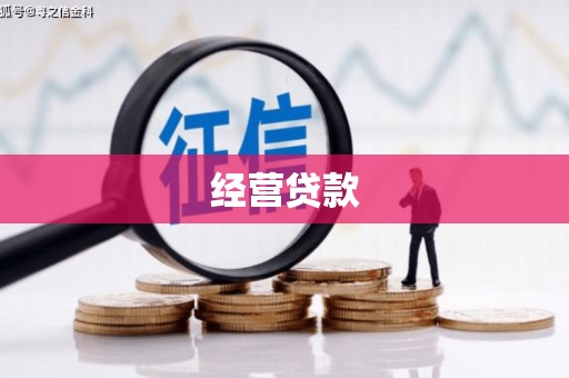 偏关经营贷款