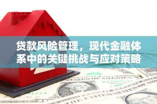 偏关贷款风险管理，现代金融体系中的关键挑战与应对策略