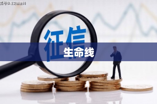 偏关生命线