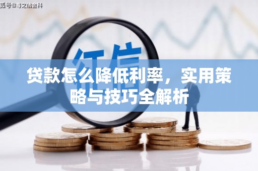 偏关贷款怎么降低利率，实用策略与技巧全解析