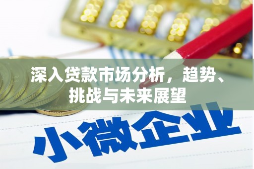 偏关深入贷款市场分析，趋势、挑战与未来展望