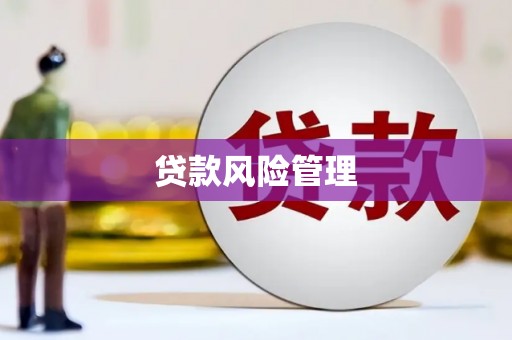 偏关贷款风险管理