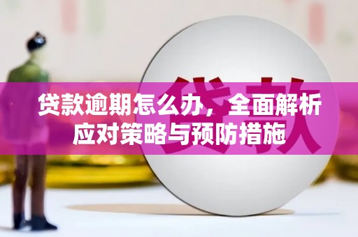 偏关贷款逾期怎么办，全面解析应对策略与预防措施