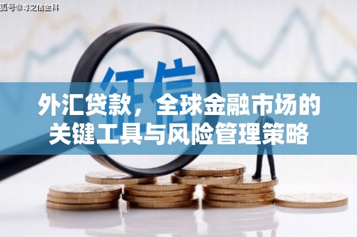 偏关外汇贷款，全球金融市场的关键工具与风险管理策略