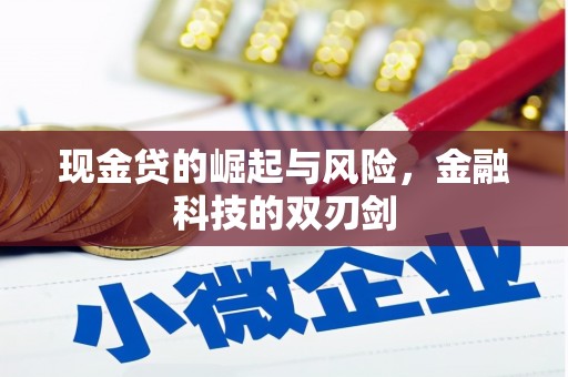 偏关现金贷的崛起与风险，金融科技的双刃剑