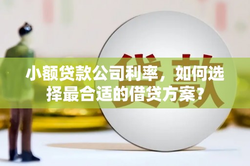 偏关小额贷款公司利率，如何选择最合适的借贷方案？