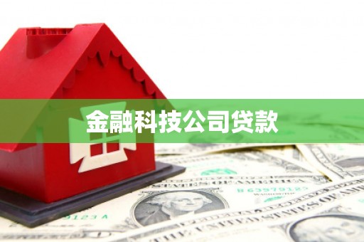 偏关金融科技公司贷款