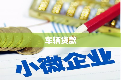 偏关车辆贷款