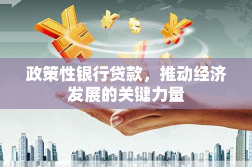 偏关政策性银行贷款，推动经济发展的关键力量