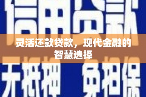 偏关灵活还款贷款，现代金融的智慧选择