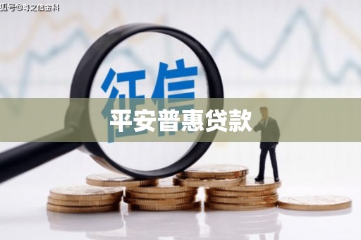 偏关平安普惠贷款