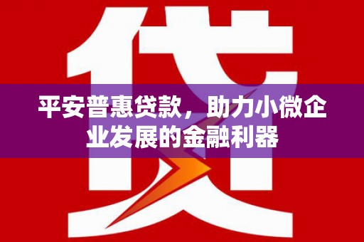 偏关平安普惠贷款，助力小微企业发展的金融利器