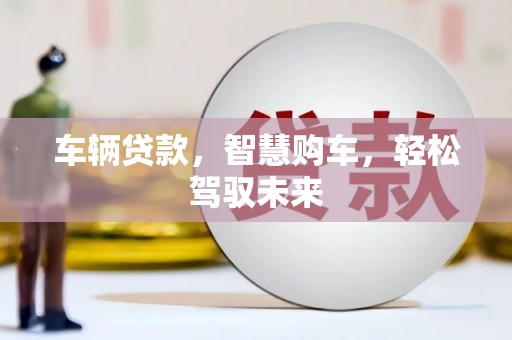 偏关车辆贷款，智慧购车，轻松驾驭未来