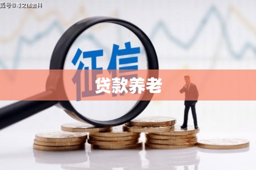 偏关贷款养老