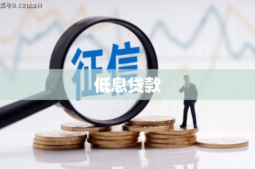 偏关低息贷款