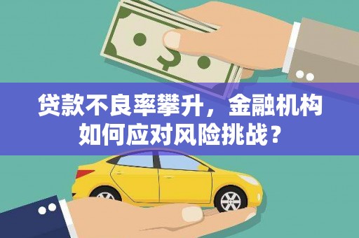 偏关贷款不良率攀升，金融机构如何应对风险挑战？