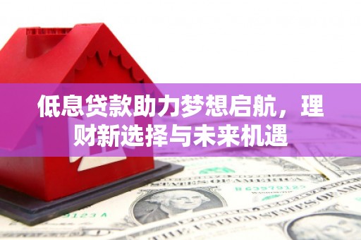 偏关低息贷款助力梦想启航，理财新选择与未来机遇