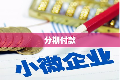 偏关分期付款