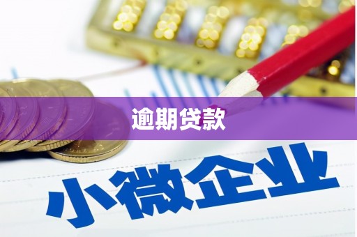 偏关逾期贷款