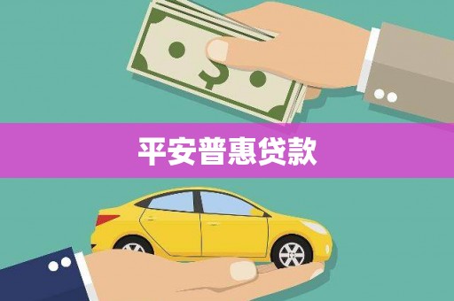 偏关平安普惠贷款